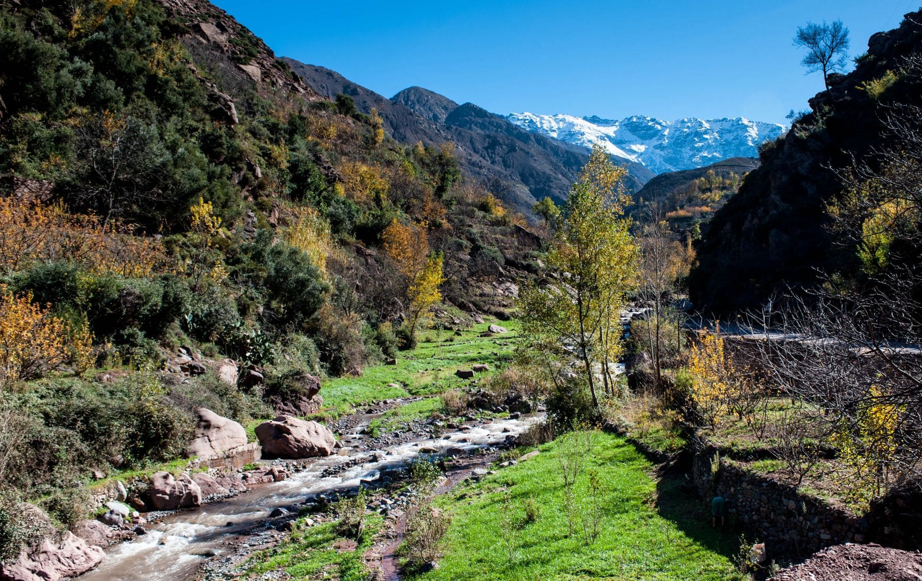 One Day Trip from Marrakech to Imlil - Atlas Mountains